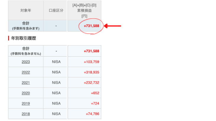 Nisa 損益表